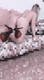 Foto privada de Passion_girl